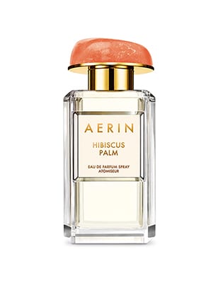 AERIN Hibiscus Palm